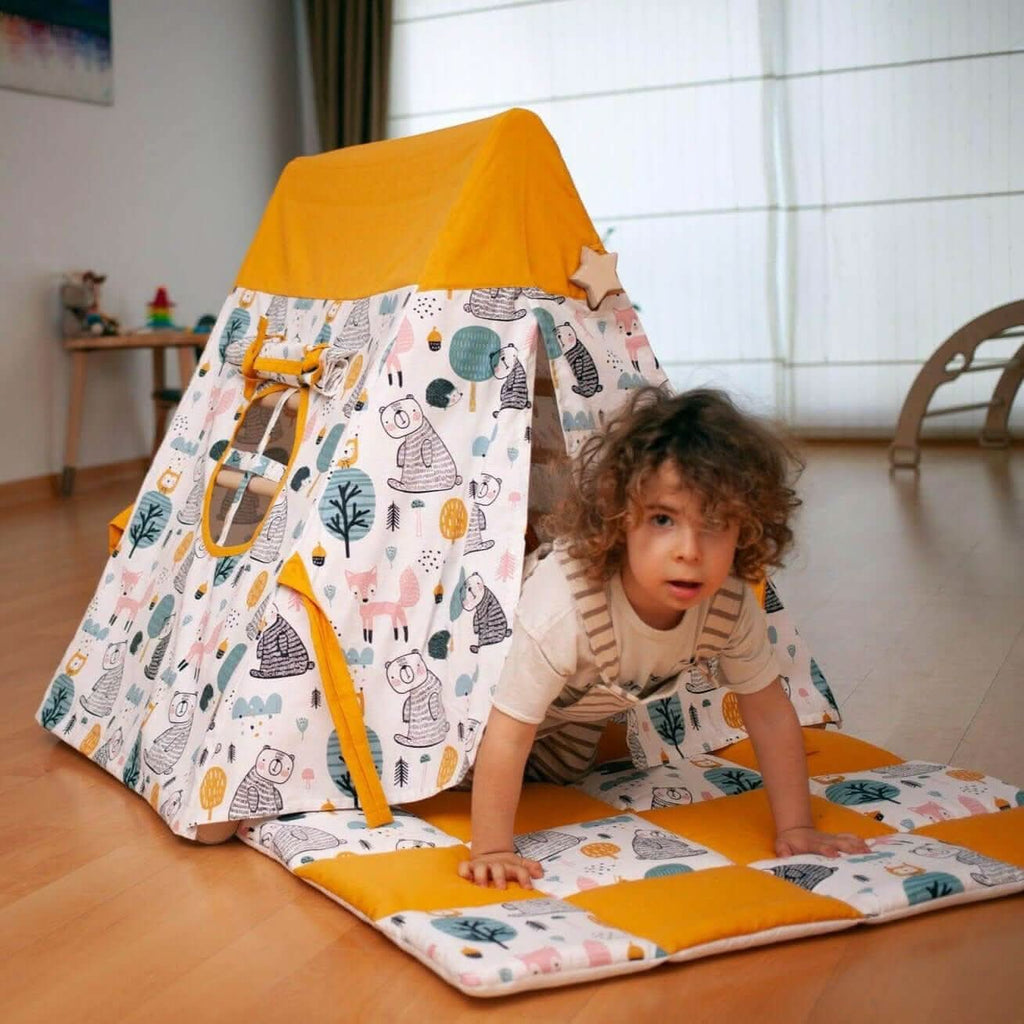 Climbing Triangle with Tent Cover, Mat, Ramp - Rootwellco