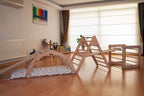 Montessori Climber Set 6 Pieces | Indoor Playground Set - Rootwellco